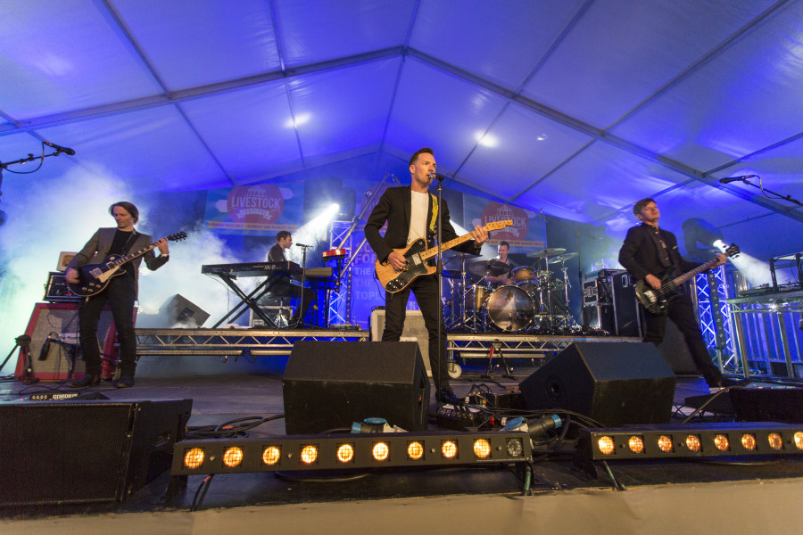 Livestock Festival Shenanigans